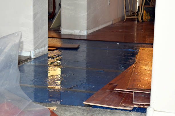 Professional Water Damage Restoration technician working in Wilmer, TX